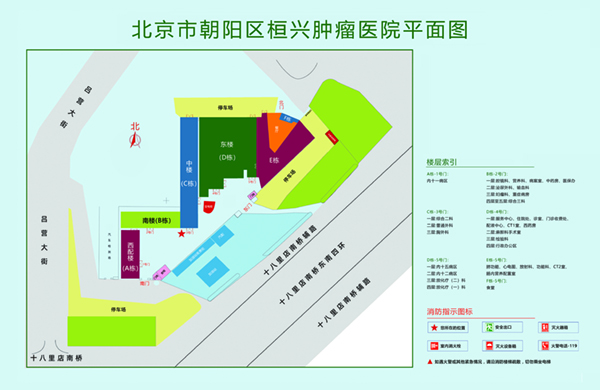 操逼逼好爽北京市朝阳区桓兴肿瘤医院平面图